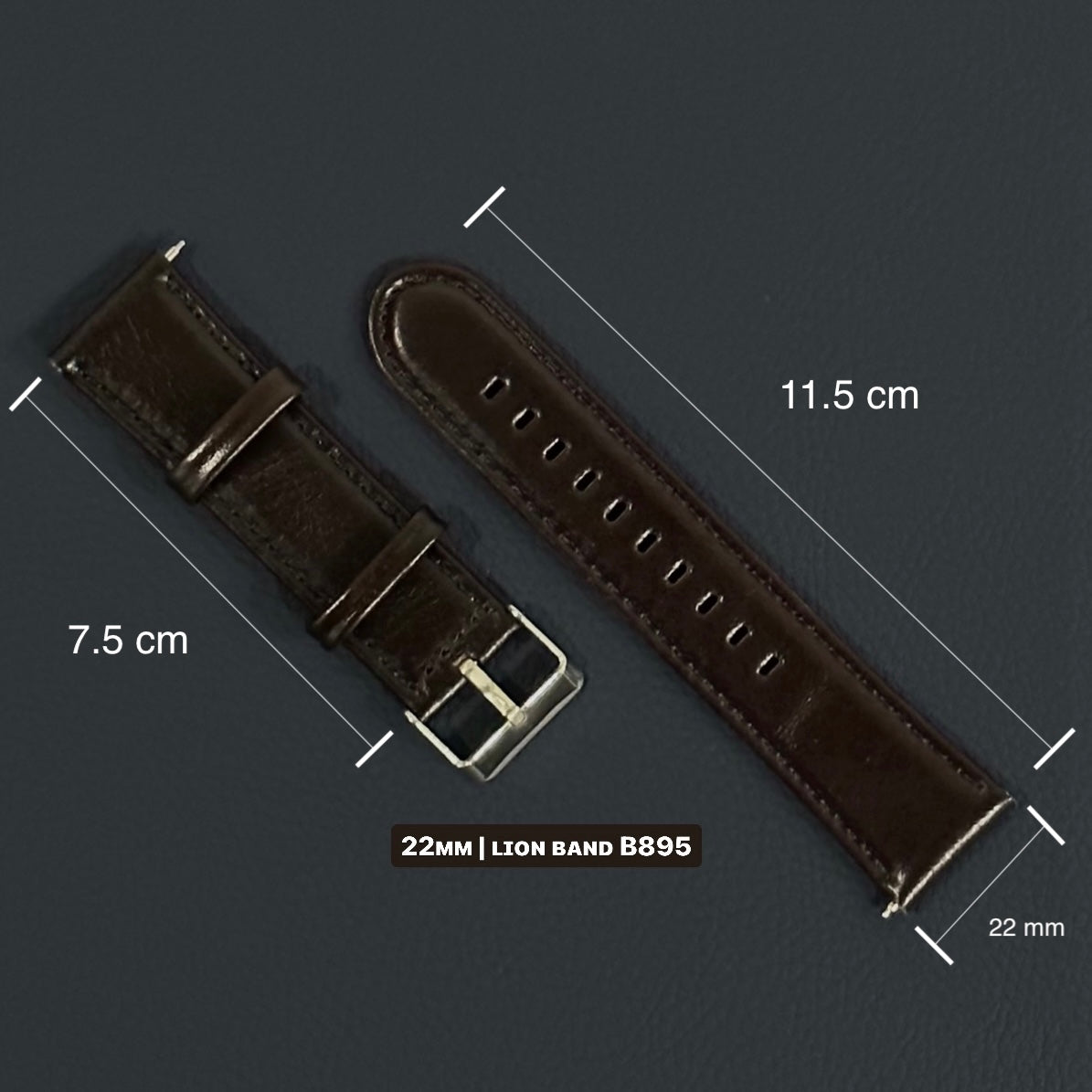 LION BAND #B895 - Samsung Galaxy Watch - (20 mm y 22 mm)